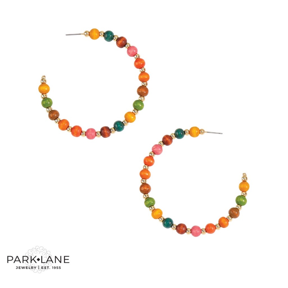 NWT Park Lane Jasper Earrings